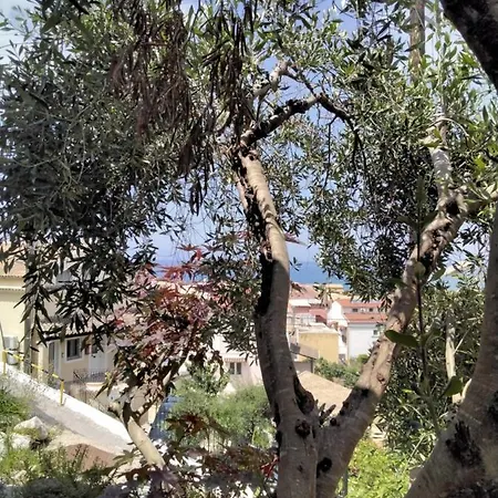 Nefeli Σπίτι διακοπών *